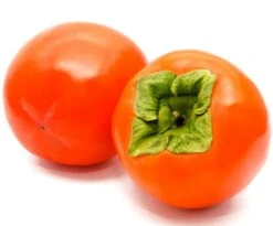 Kaki Halbstamm `Ragno´ 150-175cm Diospyrus Kaki `Ragno´