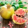 Granatapfel `Haku Botan´ Punica Granatum -Pflanzen Verkäufe Granatapfel weiss Erweiterte Lizenz