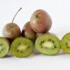 Großfrüchtige Bayern-Kiwi `Pink Jumbo´ Actinidia Arguta `Pink Jumbo´ 1 Großfrüchtige Bayern-Kiwi `Pink Jumbo´ Actinidia Arguta `Pink Jumbo´ -Pflanzen Verkäufe Pink Jumbo1
