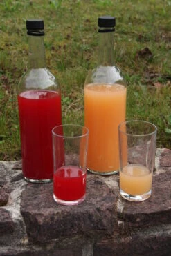 Rosette® Malus Domestica -Pflanzen Verkäufe Rosette Saft