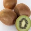 Kiwi `Solissimo´® Actinidia Deliciosa -Pflanzen Verkäufe actinidia deliciosa kiwi 1s1b4334