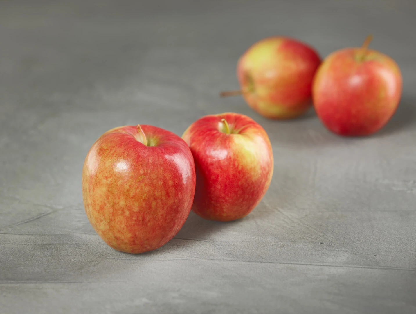 Rewena ® Malus Domestica 4 Rewena ® Malus Domestica - Image 2