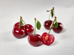 Safir ® Prunus Cerasus `Safir´ -Pflanzen Verkäufe sauerkirsche safir glCz99JjQsQ3RC